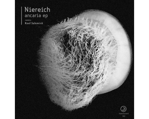 Niereich - Ancaria EP