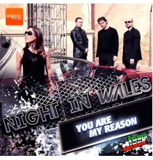 Night In Wales - You Are My Reason (Original Mix)