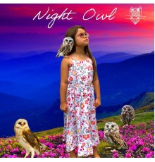 Night Owl - Night Owl