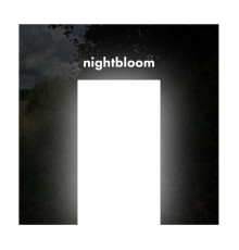 Nightbloom - emerald city (noise)