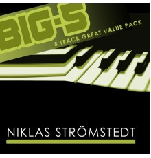 Niklas Strömstedt - Big-5 : Niklas Strömstedt