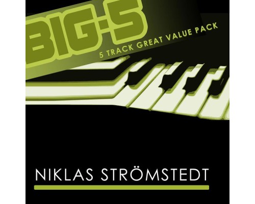 Niklas Strömstedt - Big-5 : Niklas Strömstedt