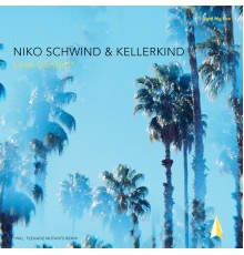 Niko Schwind Kellerkind - Lose Control