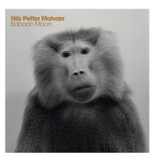 Nils Petter Molvaer - Baboon Moon