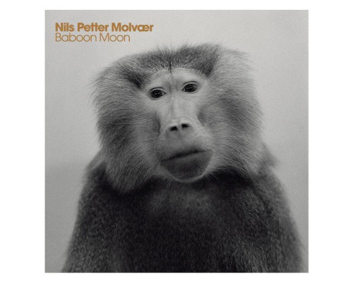 Nils Petter Molvaer - Baboon Moon