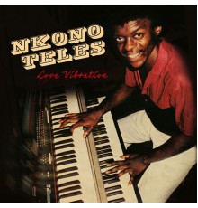 Nkono Teles - Love Vibration