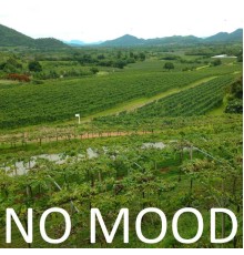 No Mood - No Mood