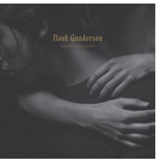 Noah Gundersen - Carry the Ghost