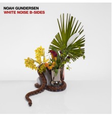 Noah Gundersen - WHITE NOISE B-SIDES