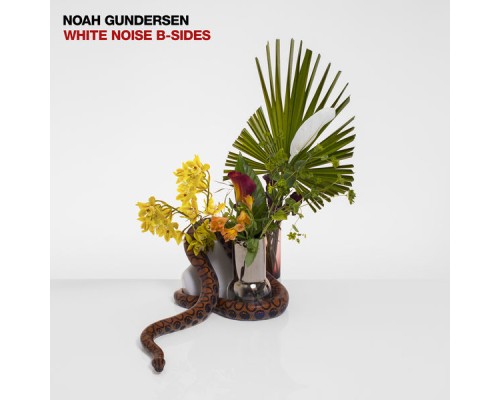 Noah Gundersen - WHITE NOISE B-SIDES