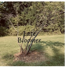 Noel - Late Bloomer