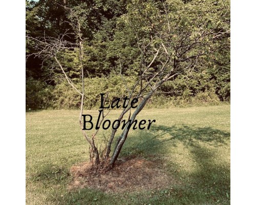 Noel - Late Bloomer