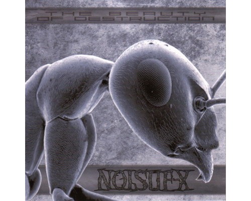 Noisuf-X - The Beauty of Destruction