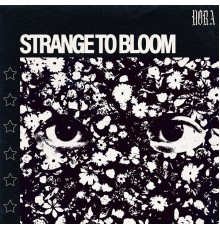 Nora - Strange to Bloom