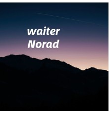 Norad - waiter