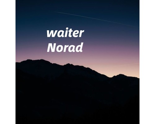 Norad - waiter