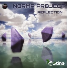 Norma Project - Reflection