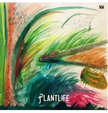 Norman Meadows - Plantlife