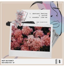 Not So Fancy - New Direction - Ep