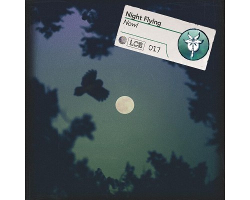 Nowl - Night Flying