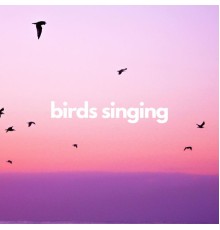 Nàtura - Birds singing