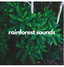 Nàtura - Rainforest sounds