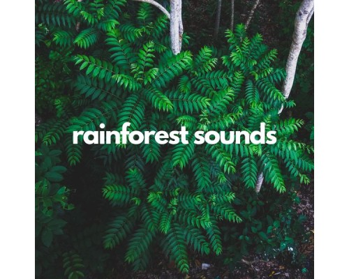 Nàtura - Rainforest sounds