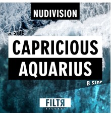 NuDivision - Capricious / Aquarius (Original Mix)