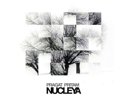 Nucleya - Pragat Pritam