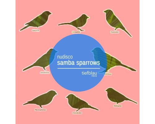 Nudisco - Samba Sparrows