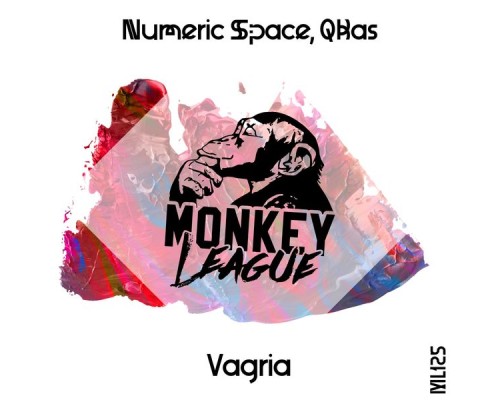 Numeric Space & QBas - Vagria