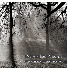 Nuovo Trio Parsifal - Invisible Landscapes