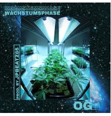 OG - Wachstumsphase