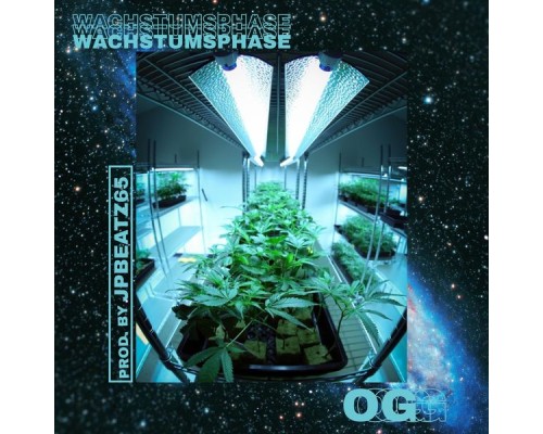 OG - Wachstumsphase