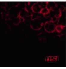 OSI - Blood