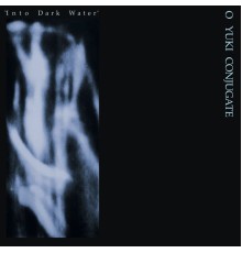 O Yuki Conjugate - Into Dark Water