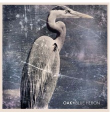 Oak - Blue Heron