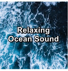 Ocean Live, Ocean Waves for Sleep, Nature Sounds, Paudio - Relaxing Ocean Sound