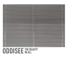 Oddisee - The Beauty in All