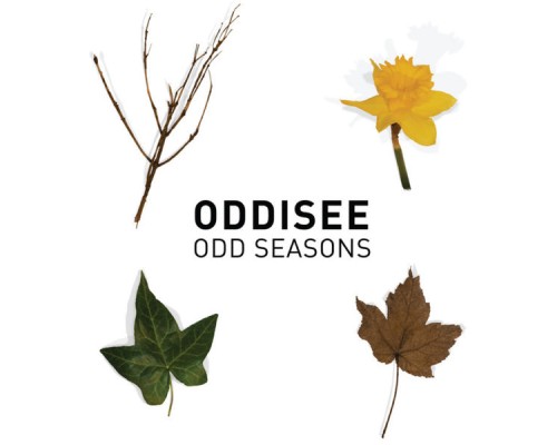 Oddisee - Odd Seasons