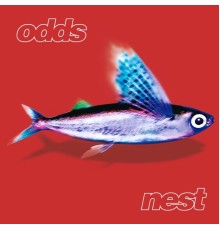 Odds - Nest