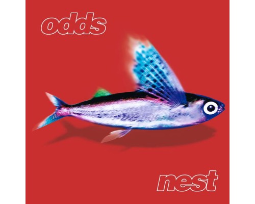 Odds - Nest