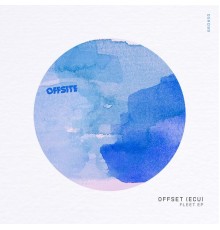 Offset (ECU) - Fleet EP