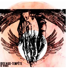 Oiseaux-Tempête - Re-Works (Oiseaux-Tempête)