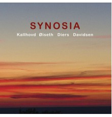 Olav G. Kallhovd - Synosia