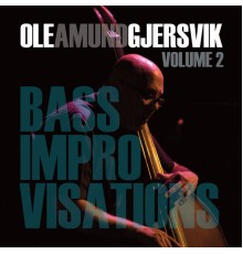 Ole Amund Gjersvik - Bass Improvisations Volume 2