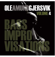 Ole Amund Gjersvik - Bass Improvisations Volume 4