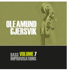 Ole Amund Gjersvik - Bass Improvisations Volume 7