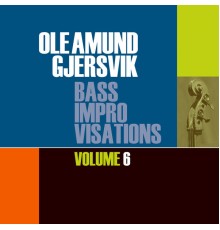 Ole Amund Gjersvik - Bass Improvisations Vol. 6