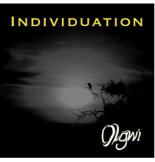 Olgwi - Individuation